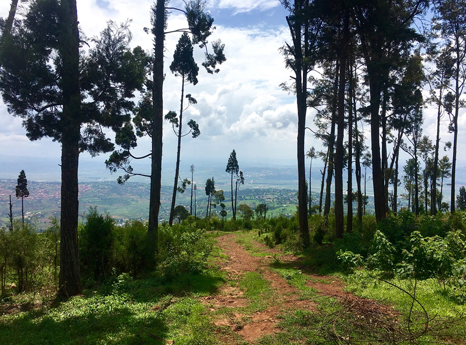 Die Pracht Ruandas erleben: Reiseziele und Sehenswürdigkeiten in Kigali